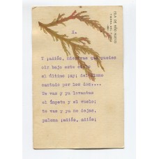 ANTARTIDA ARGENTINA 1902 TARJETA POSTAL ISLA DE AÑO NUEVO TIERRA DEL FUEGO CONFECCIONADA CON ALGAS, HUBO ALLI VARIAS EXPEDICIONES CIENTIFICAS FECHA TENTATIVA